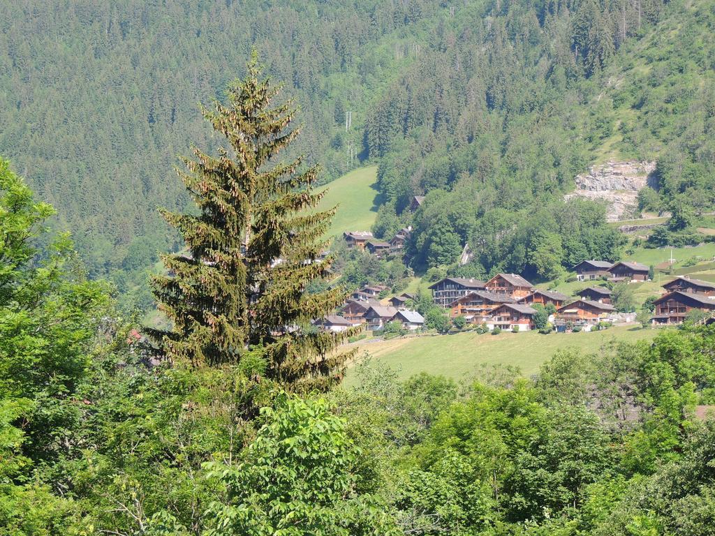 La Duche 101 Apartment Le Grand-Bornand Room photo