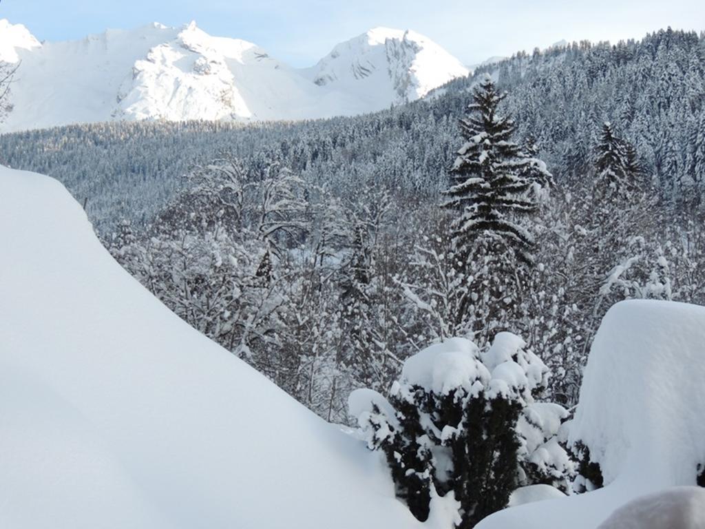 La Duche 101 Apartment Le Grand-Bornand Room photo