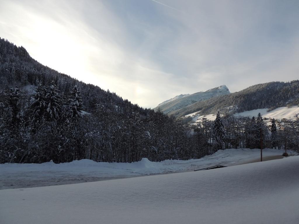 La Duche 101 Apartment Le Grand-Bornand Room photo